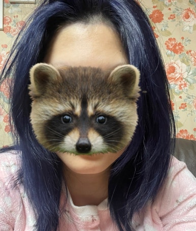컷트의집 이미지