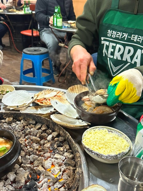 조개박사 이미지