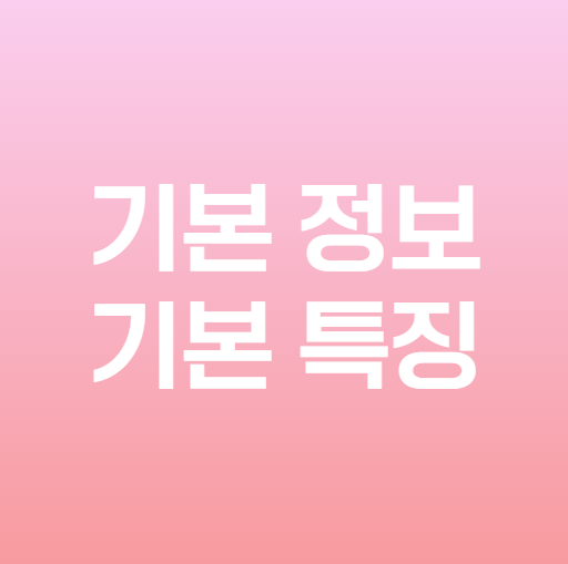 투맨피자 이미지