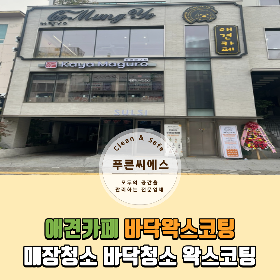 푸른씨에스 이미지