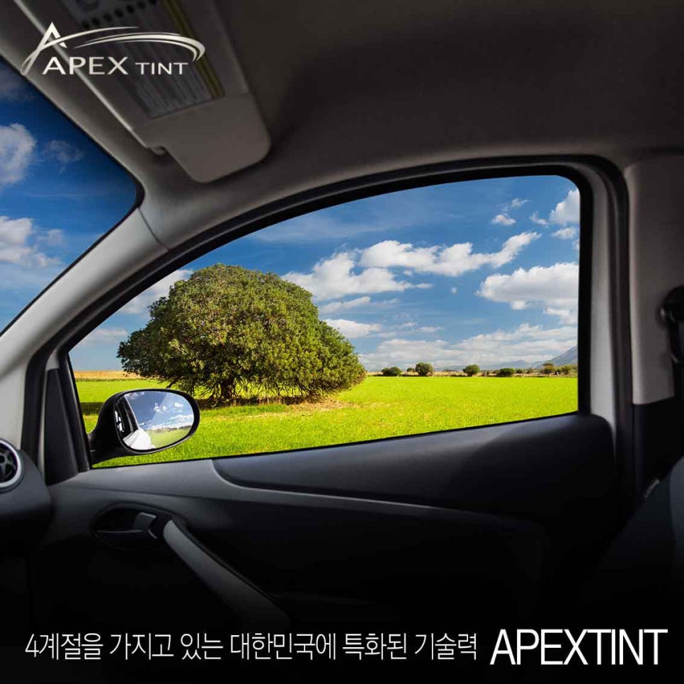 에이펙스글로벌 이미지
