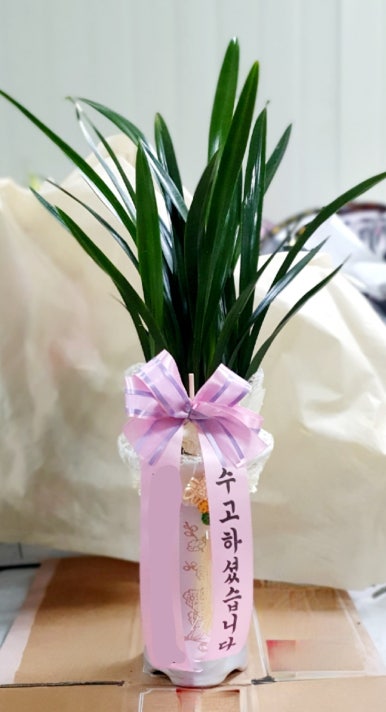와보세식당 이미지