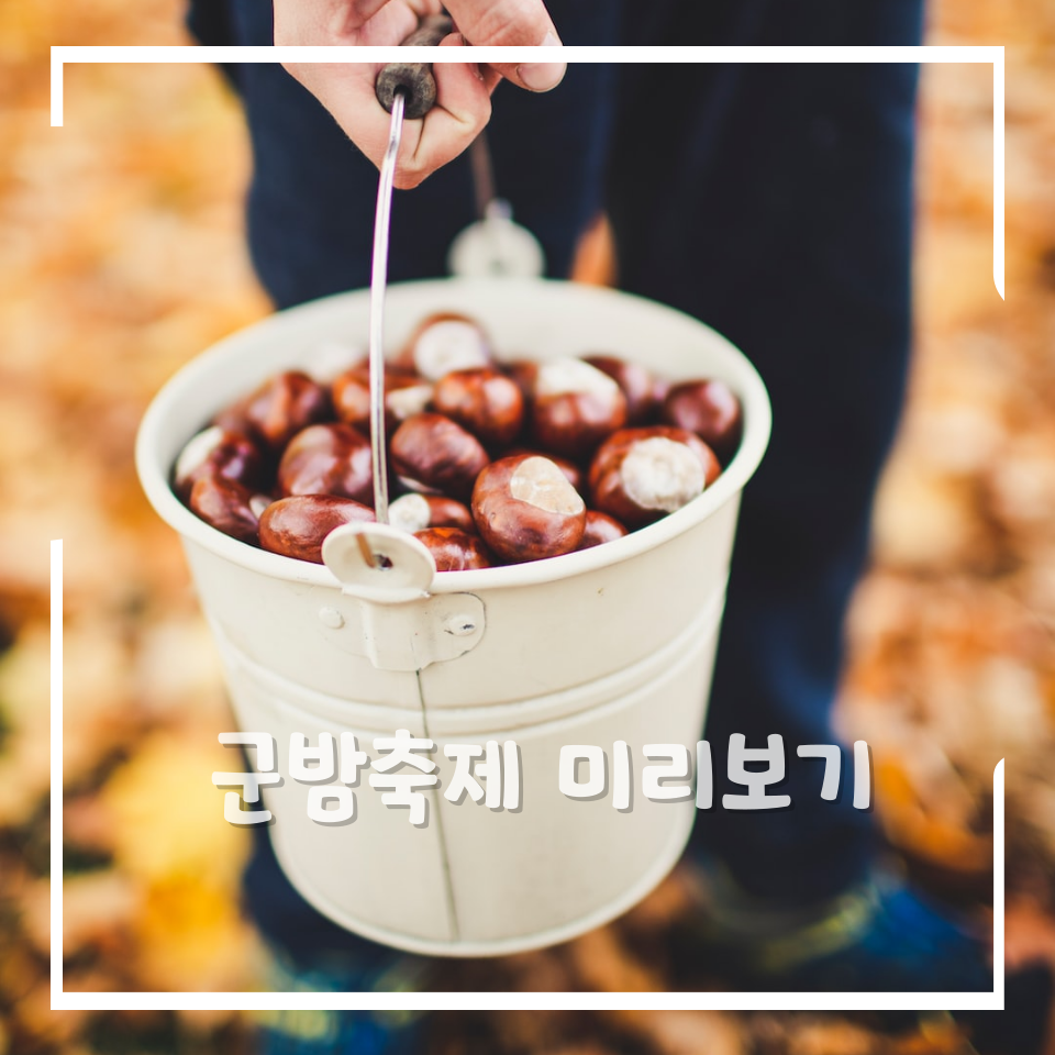 알밤홍보판매장 이미지