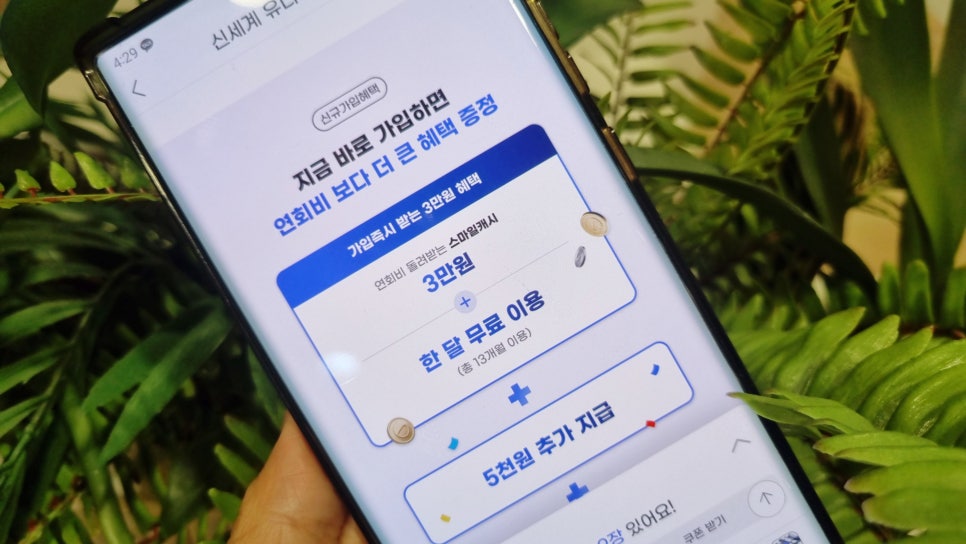 빅럭키클럽 이미지