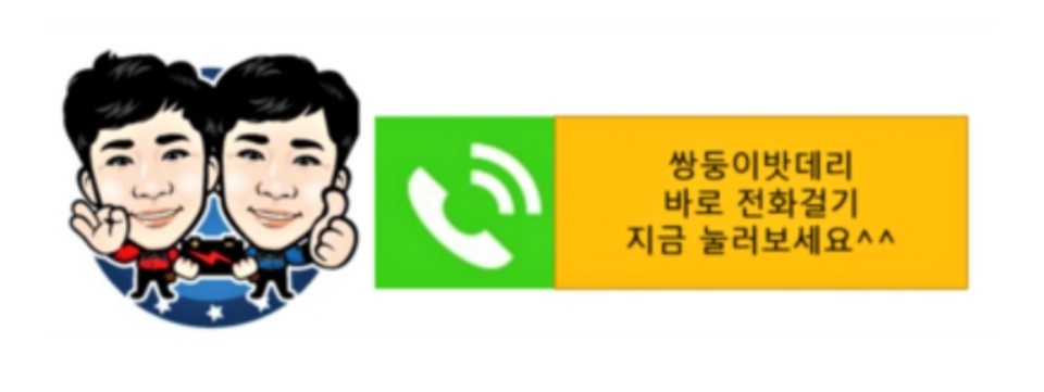 쌍둥이밧데리 이미지
