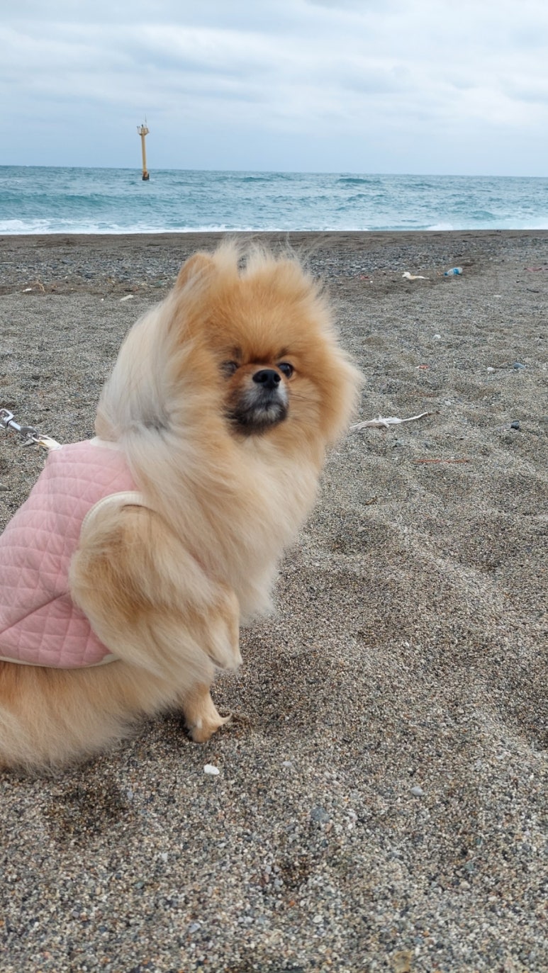 찬*이* 이미지