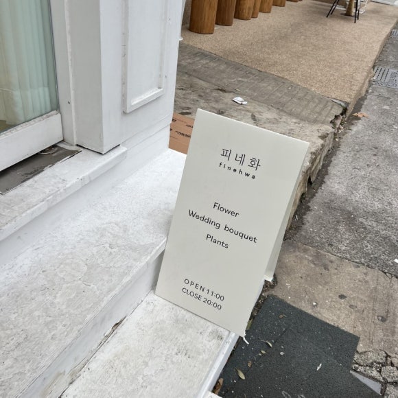 피네화 이미지