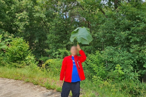 진솔루션 이미지