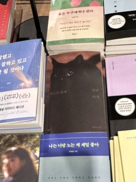 맘스터치전북도청점 이미지
