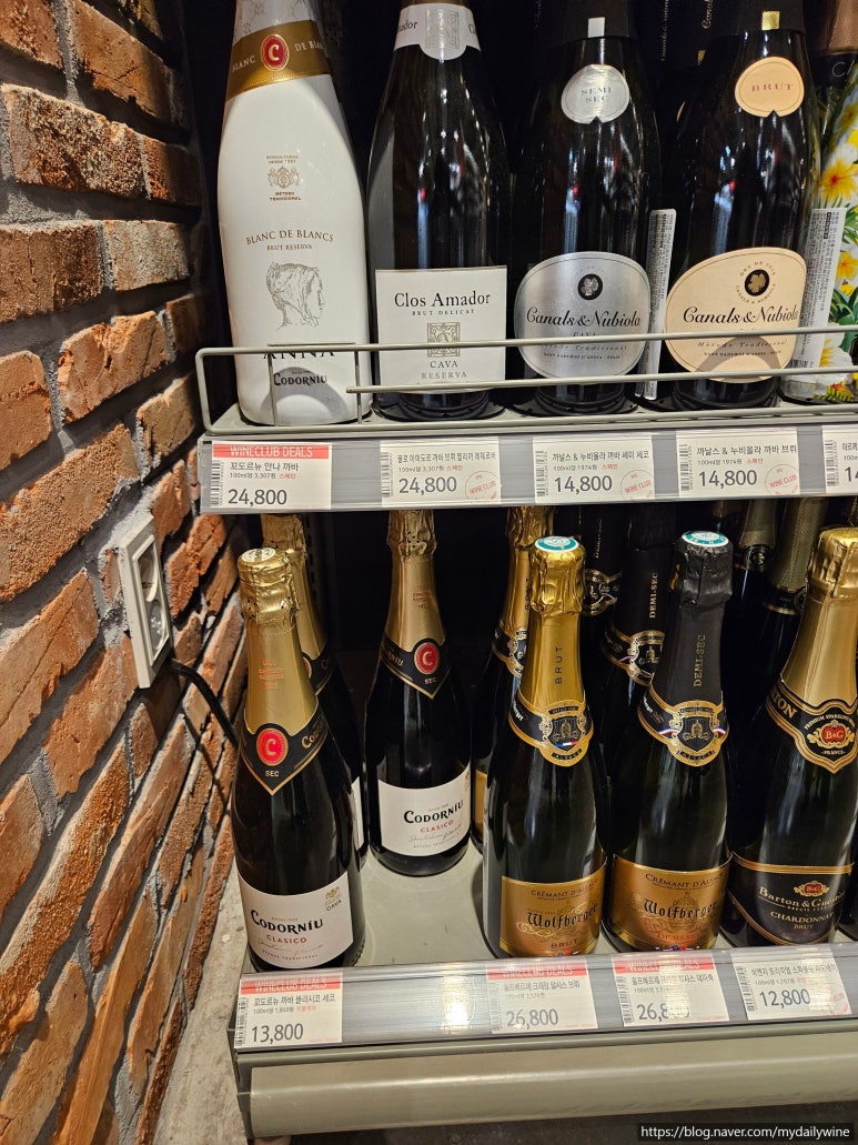 에콜로지아 이미지