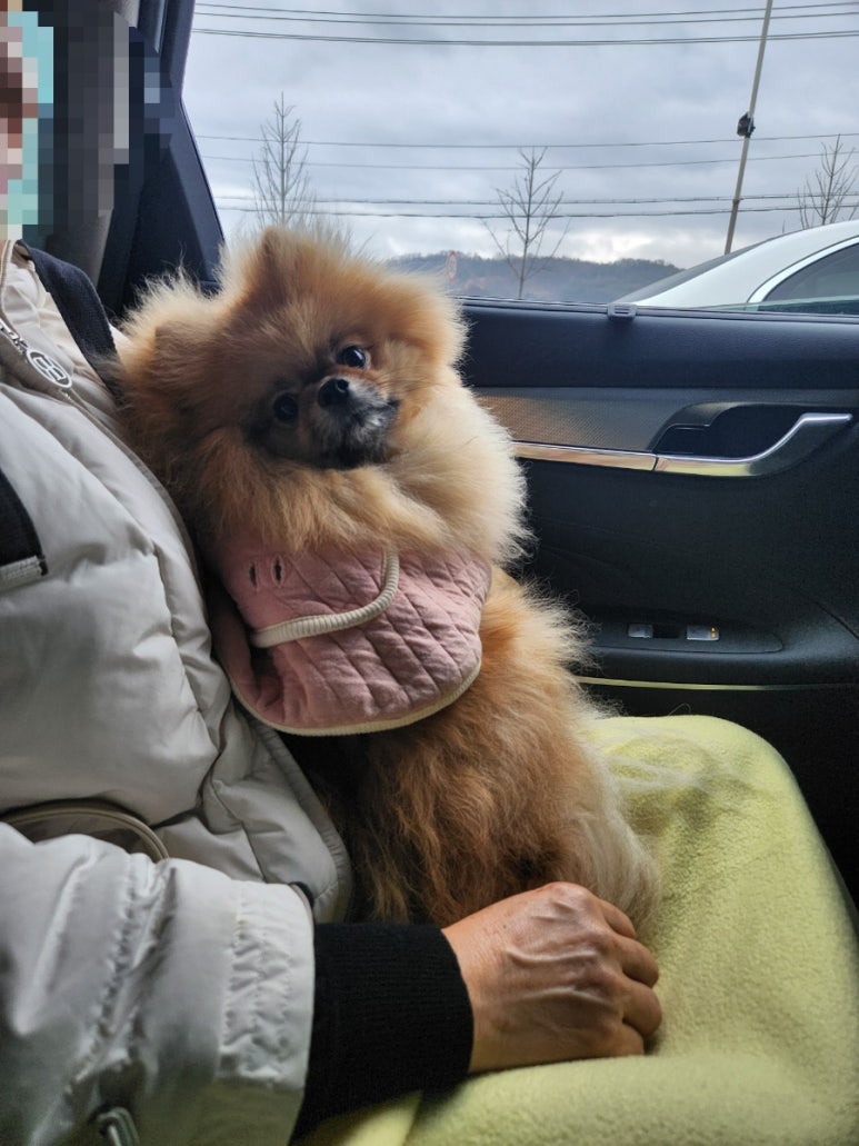 찬*이* 이미지