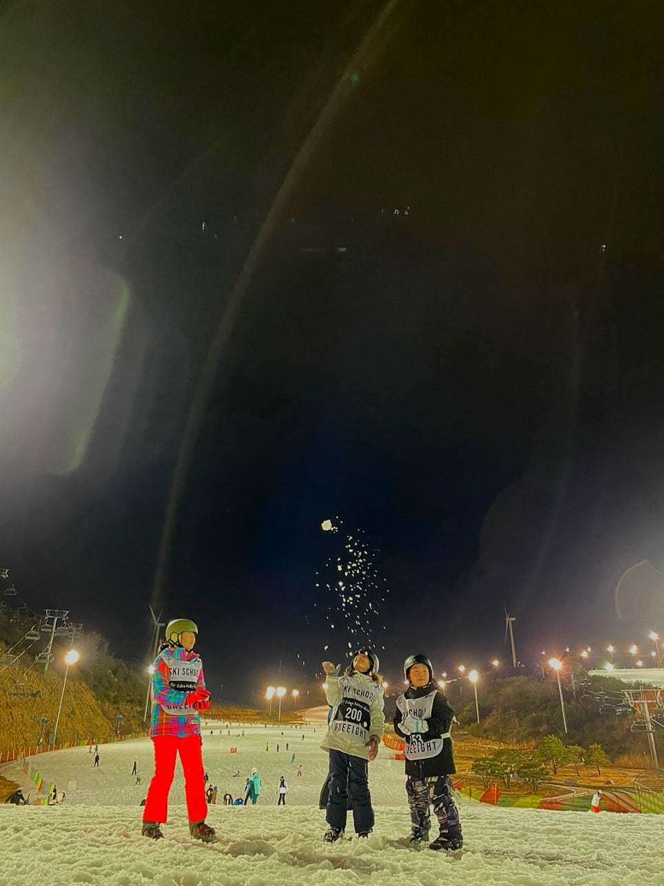 플라우.22 이미지
