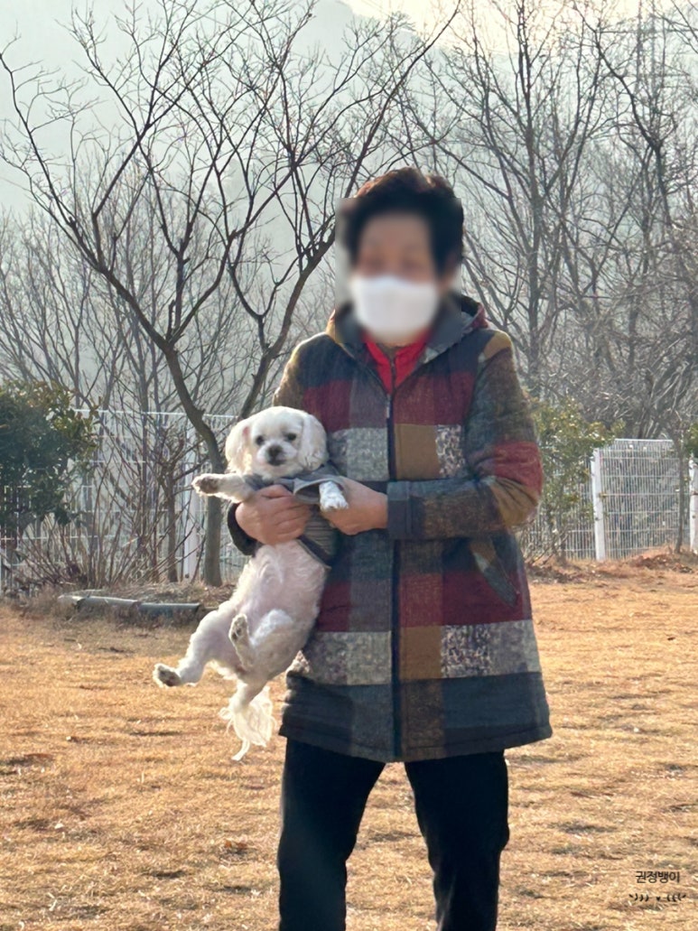 노블리안 형산 독채한옥풀빌라 이미지