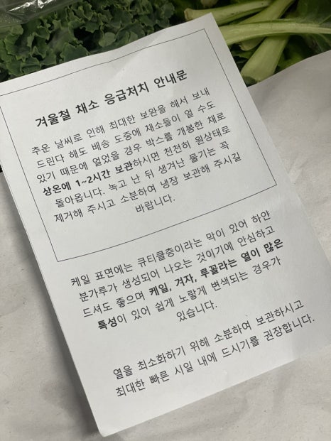 싱싱야채3 이미지