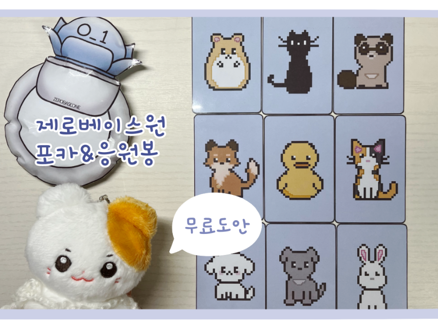 꽁쓰 이미지