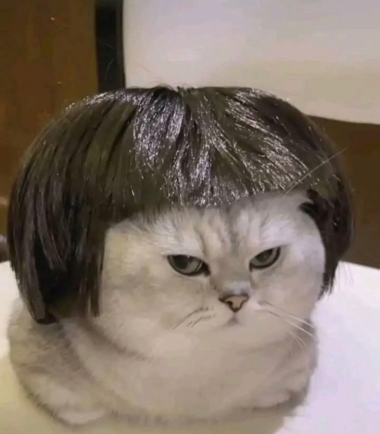 현대슈퍼 이미지