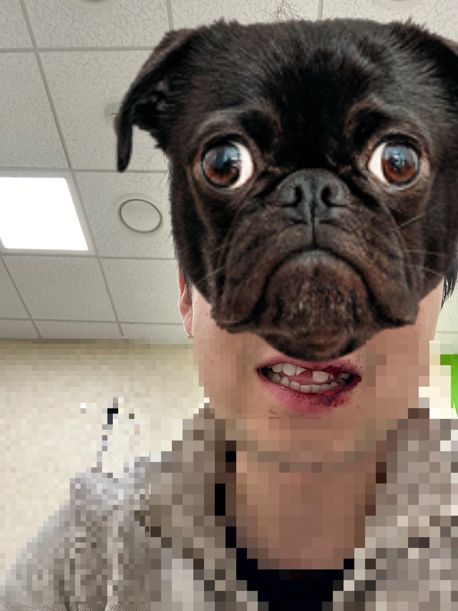 늘사랑치과 이미지