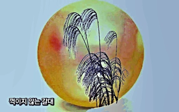 윤아트테크 이미지