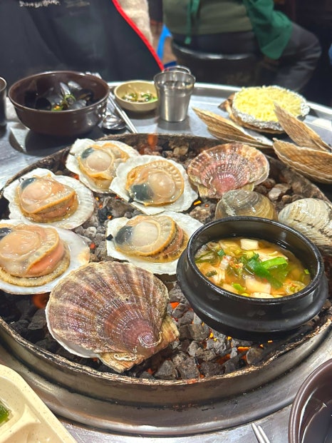 조개박사 이미지