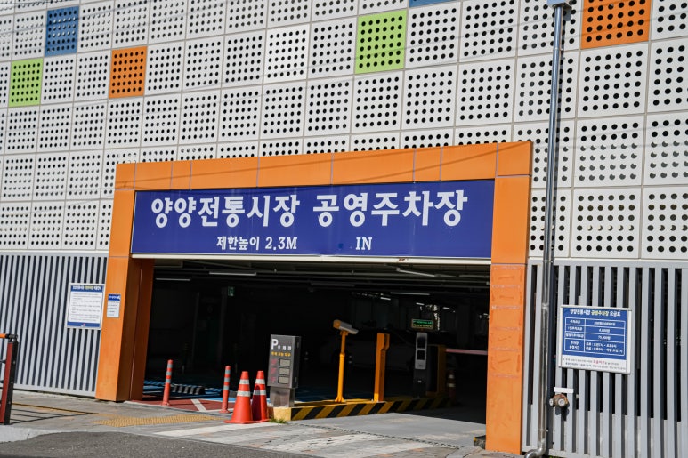 양양놀자 이미지