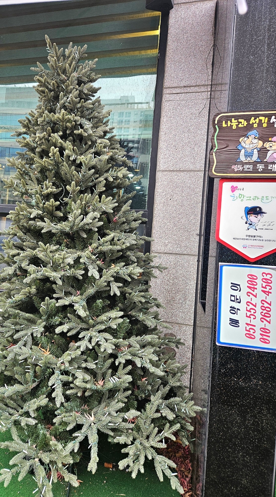 우향구이 이미지