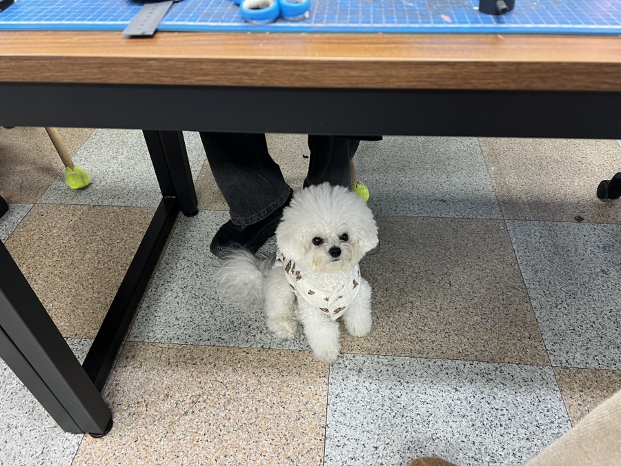다온가죽공방 이미지