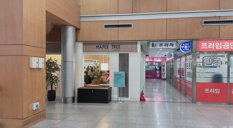 메이플트리커피 이미지