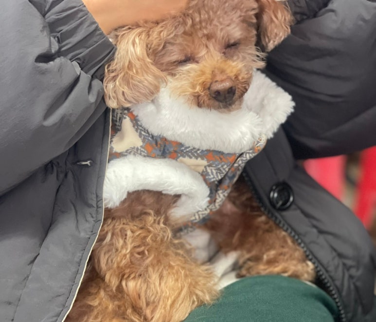 해덕호 이미지