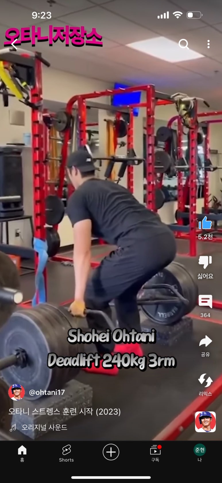 새싹피티 이미지