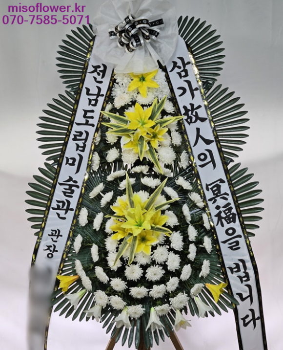 야탑동 351 (분당차병원) 이미지