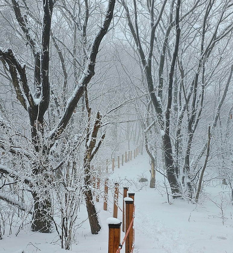 대구 파계사 원당봉산표석 이미지