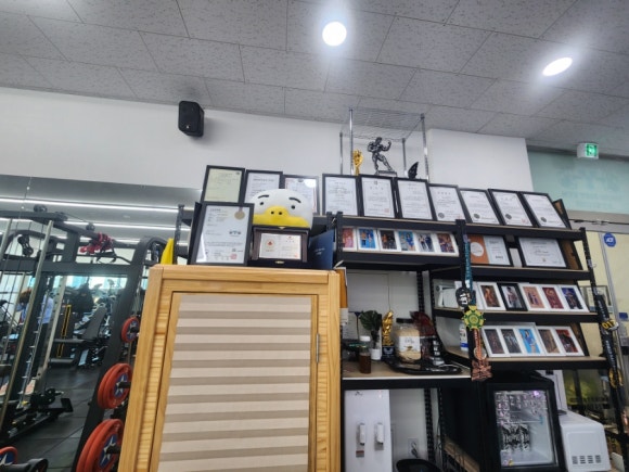 와이바디짐 이미지
