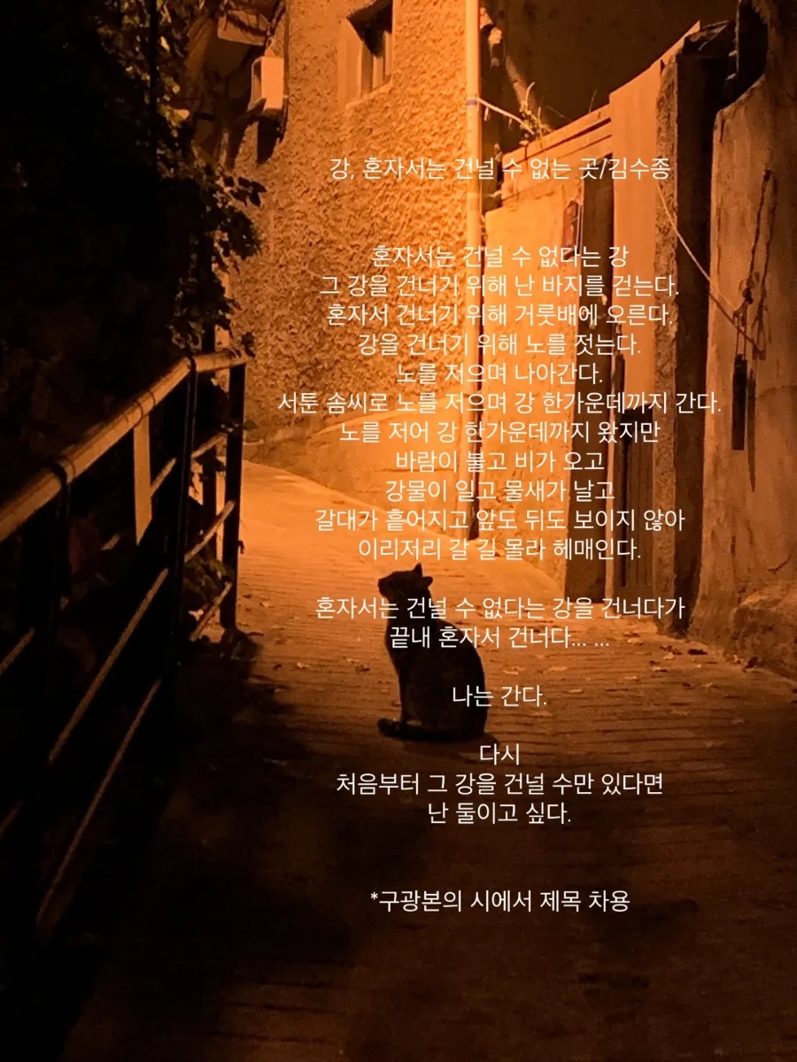 한미손칼국수 이미지