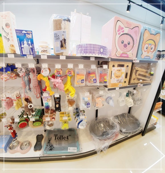 웃는개이쁜고양 이미지