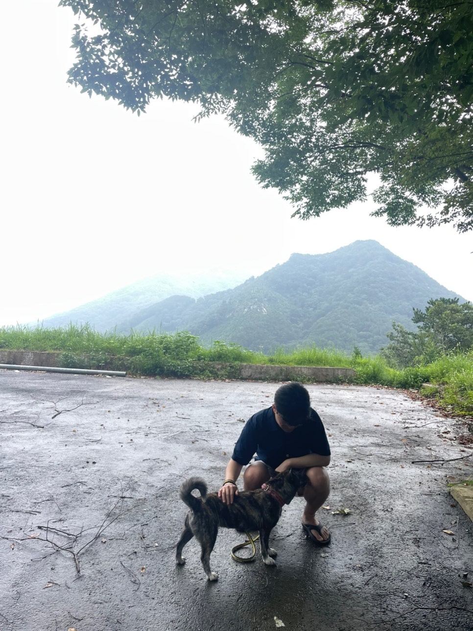호야트레이드 이미지