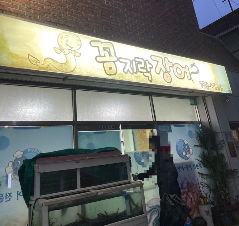 꼼지락장어 이미지