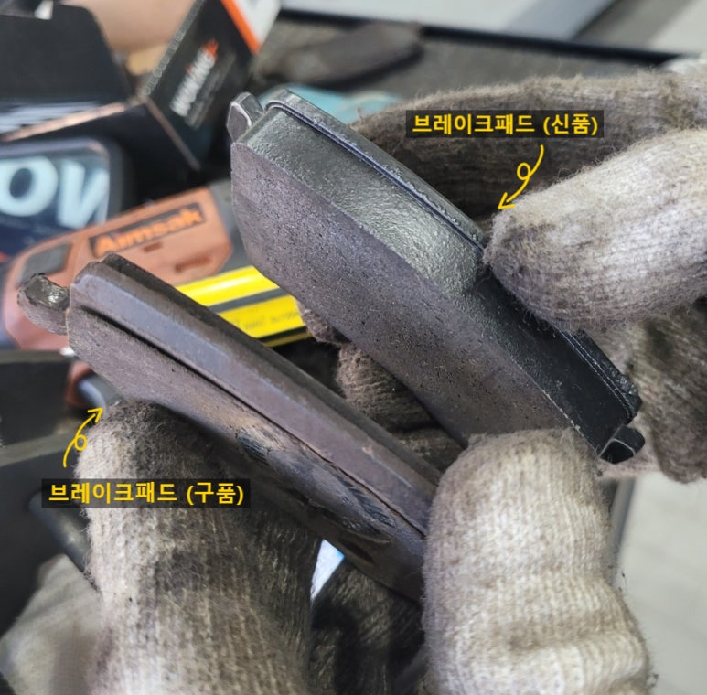 바이드핸더 이미지
