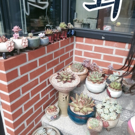대가숯불갈비 이미지