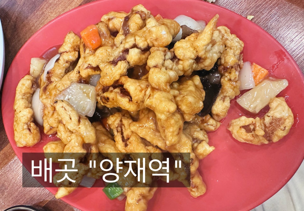 단백한생활 이미지