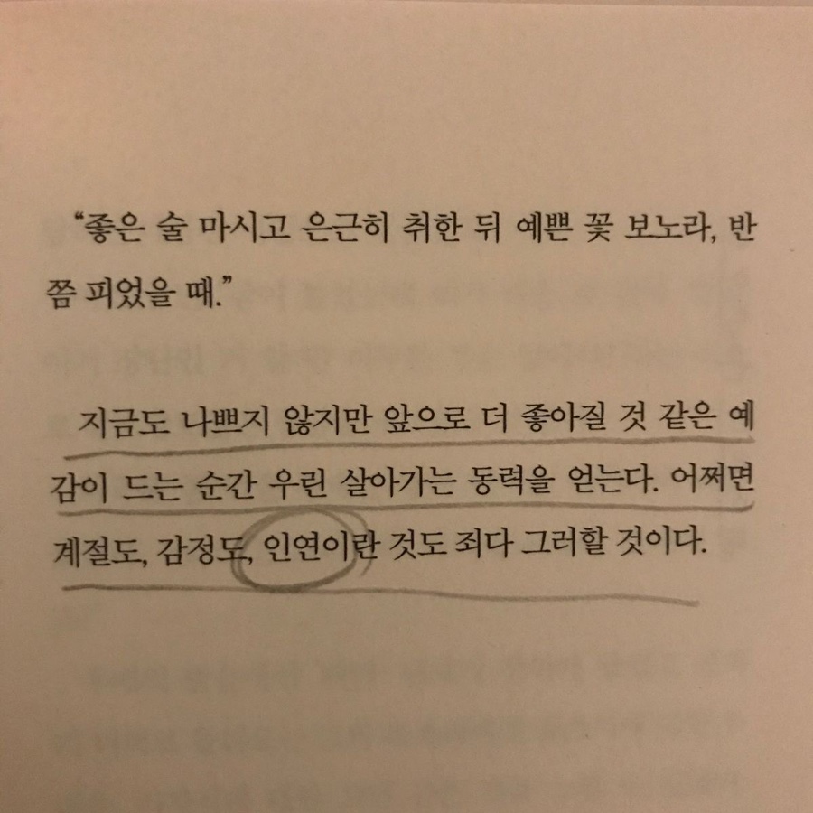 비어락 이미지