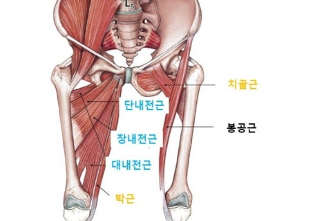 해피짐휘트니스 이미지