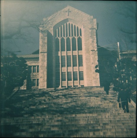 로그필름 이미지