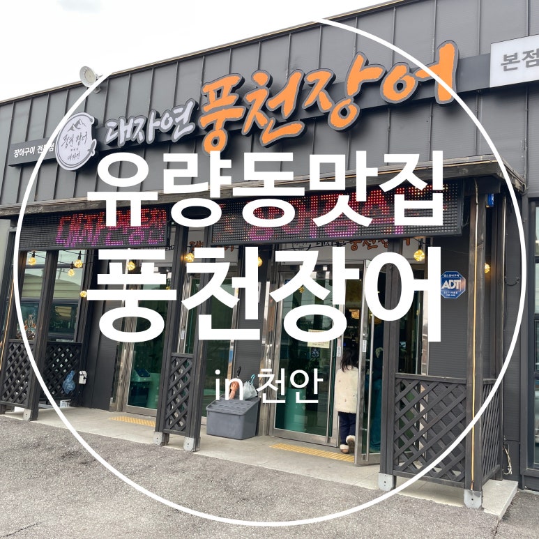 대자연풍천장어 이미지