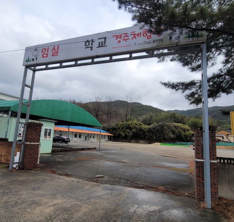 경주치즈학교 이미지