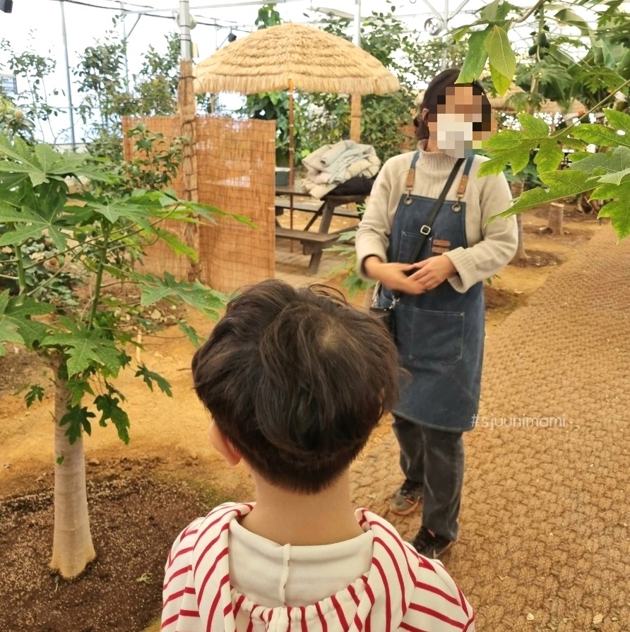 프루츠스타 이미지