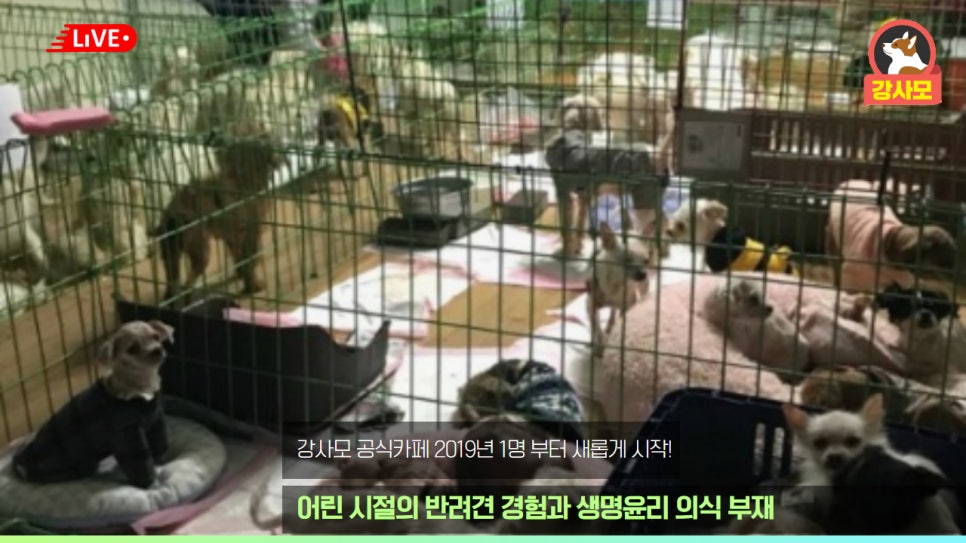 철장커뮤니티 이미지