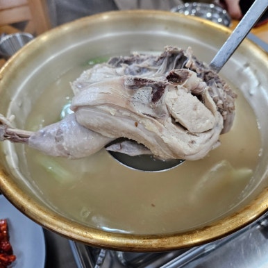 부자닭한마리칼국수 이미지