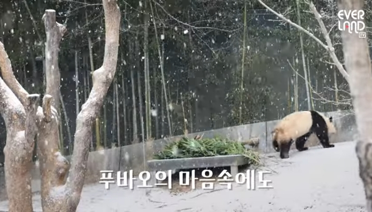 초ㅠ 이미지