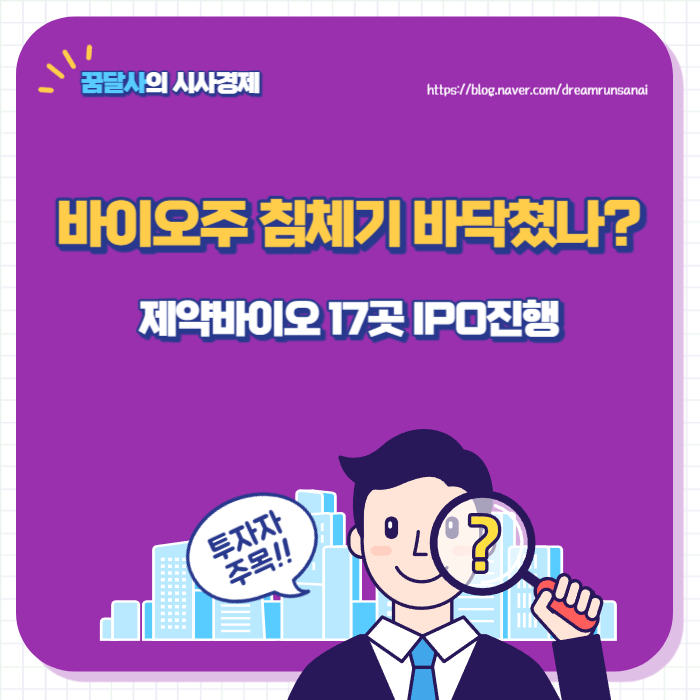 디앤디엔지 이미지