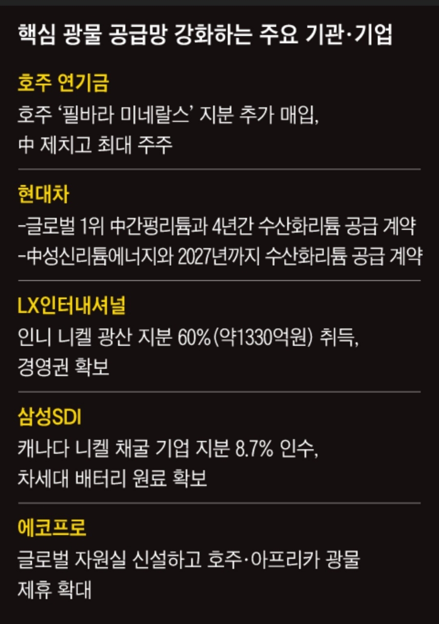 밧데리사자 이미지